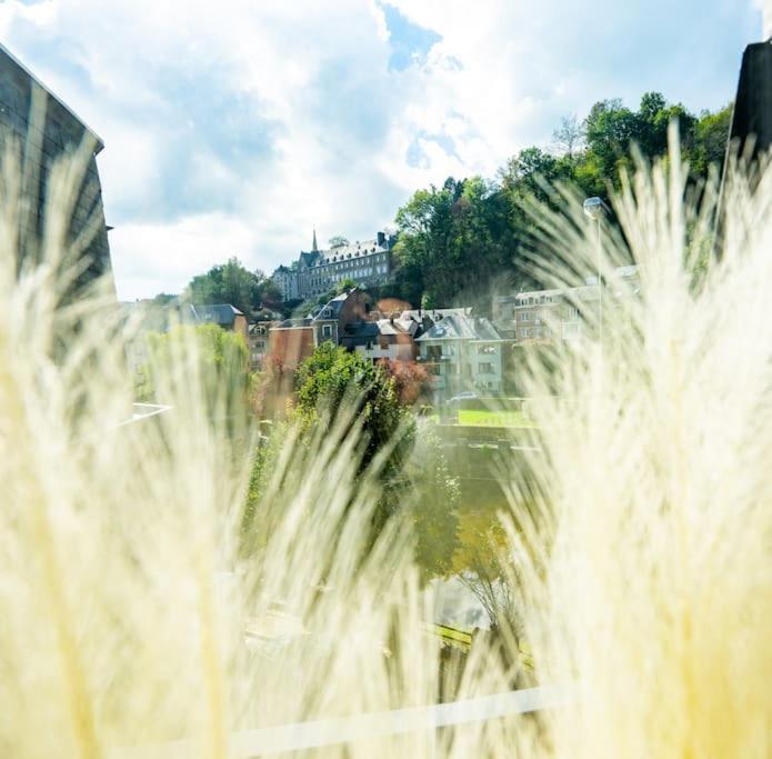 Le Comble Amoureux La-Roche-en-Ardenne Exteriör bild